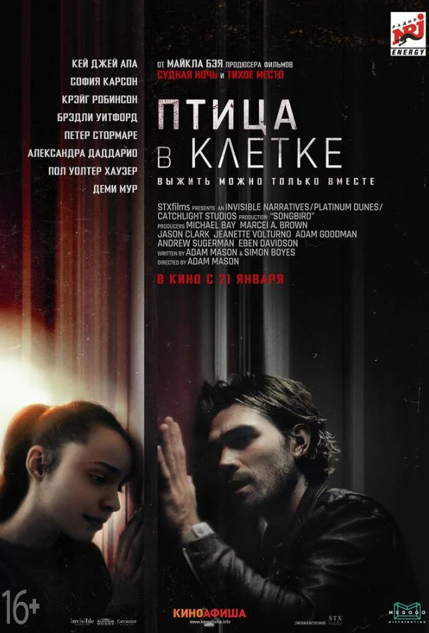 Постер к фильму